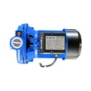 BOMBA BOTTS 1HP CENTRIFUGA + ELECTRONIVEL ITALY